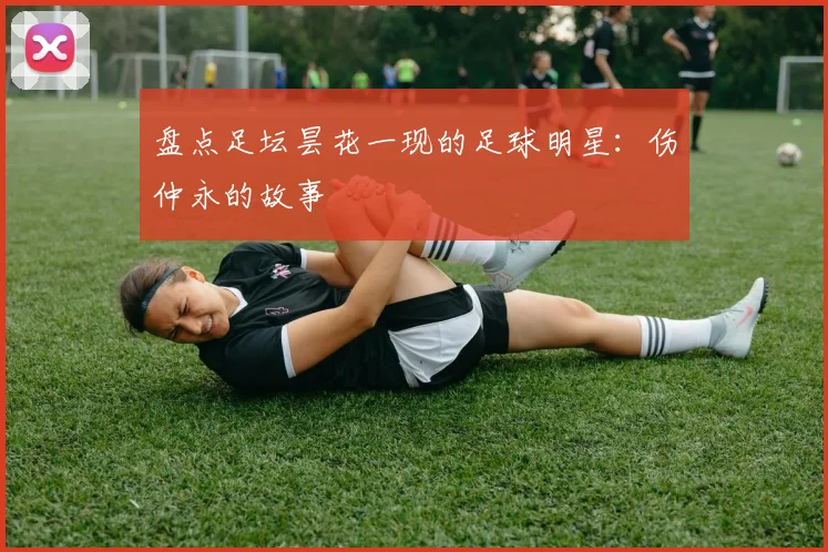 盘点足坛昙花一现的足球明星:伤仲永的故事